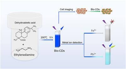 One-step Synthesis of Biomass-Based Carbon Dots for Detection of Metal Ions and Cell Imaging